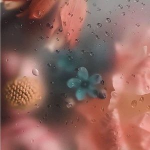 Meet your Posher, Frida